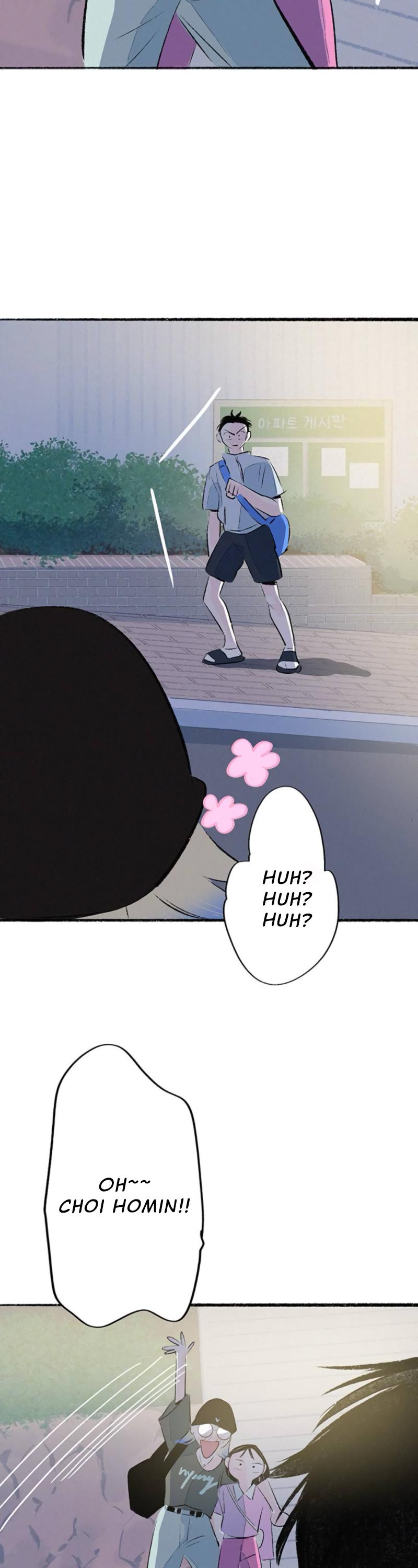 Why Don