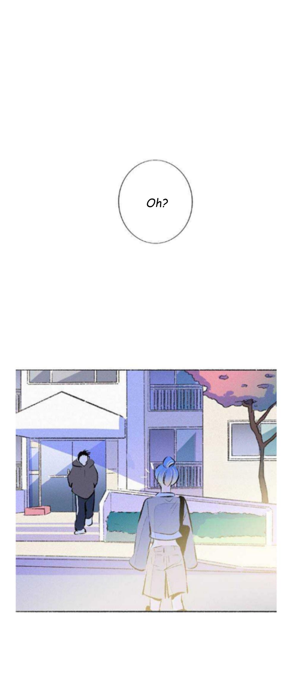 Why Don