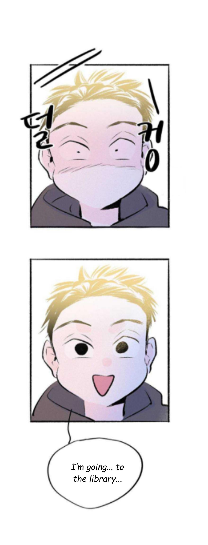 Why Don