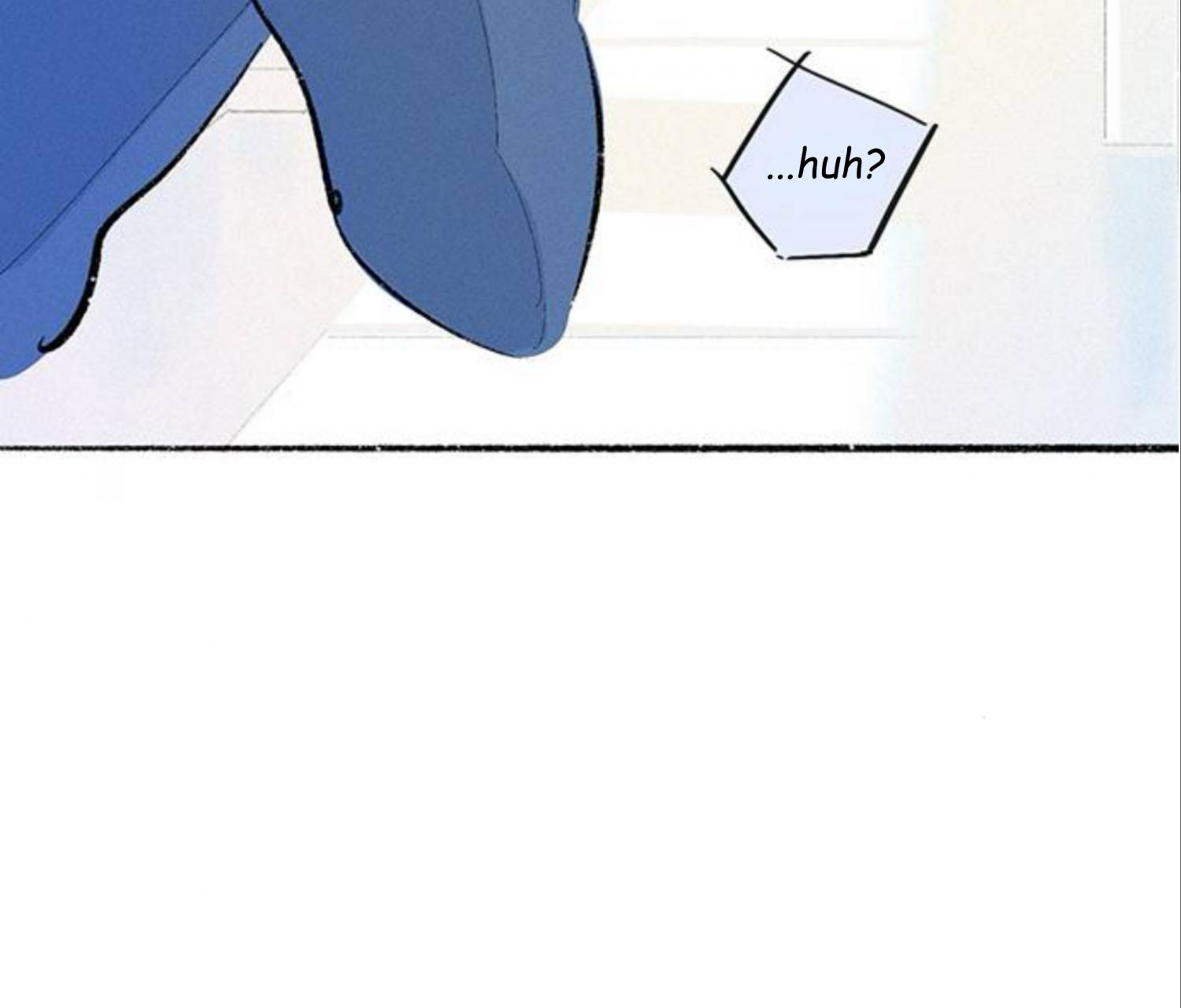 Why Don