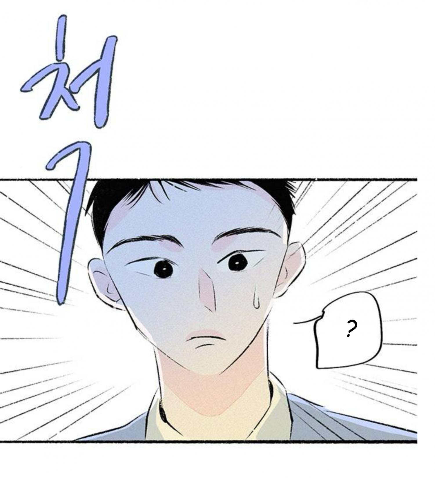 Why Don