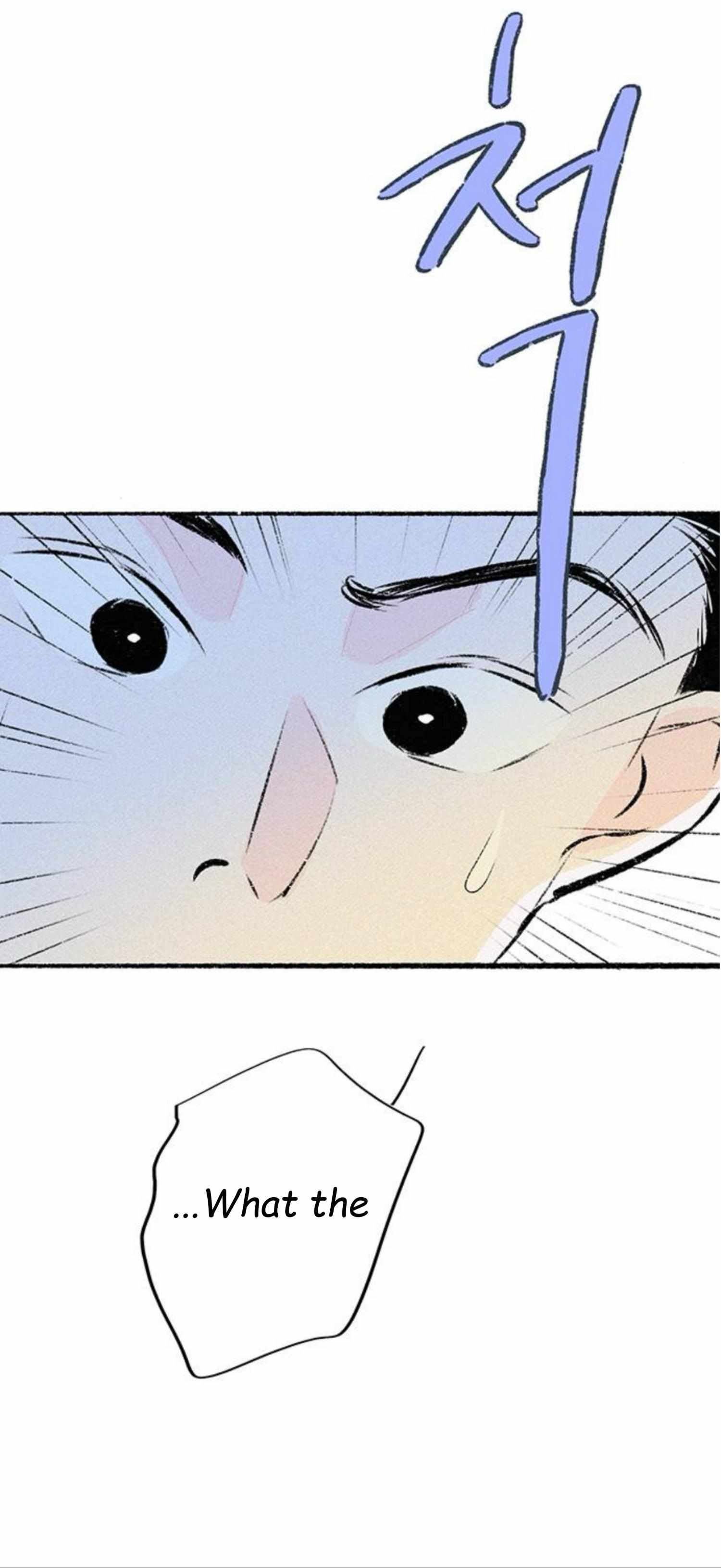 Why Don