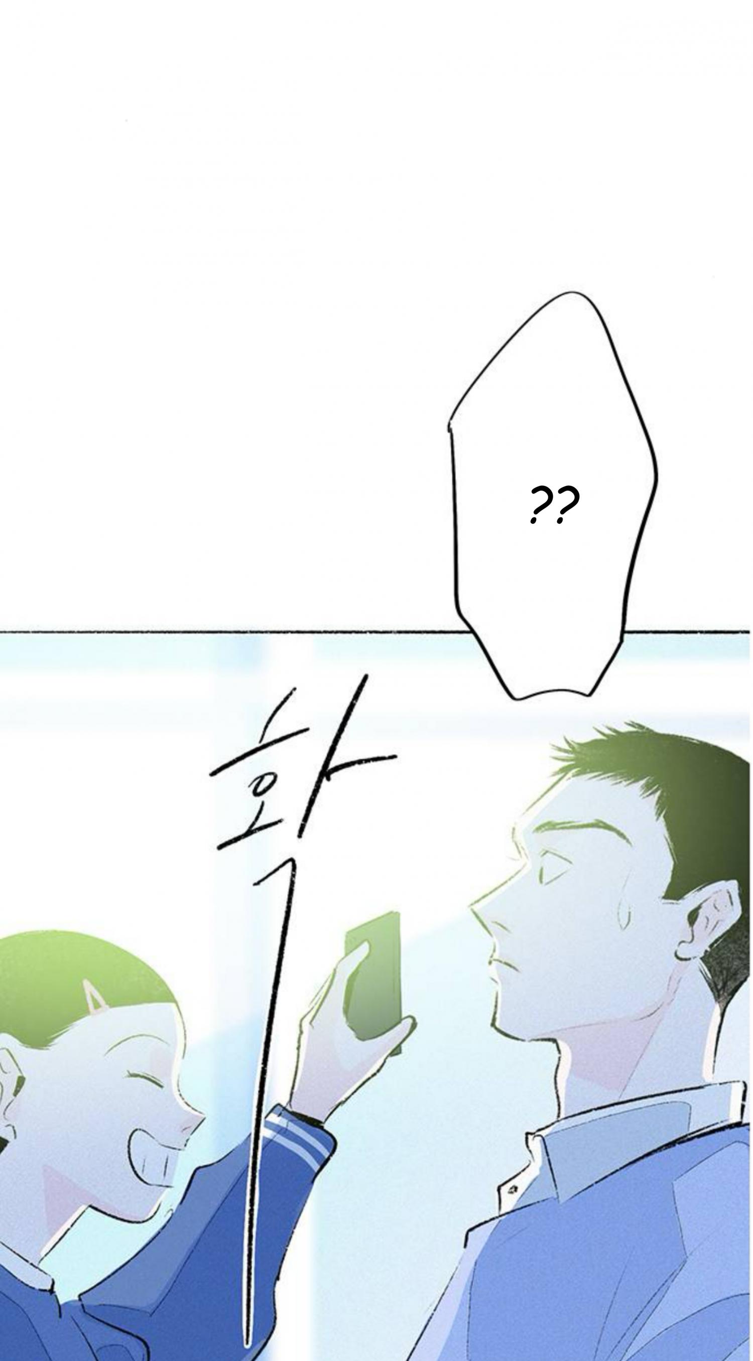 Why Don