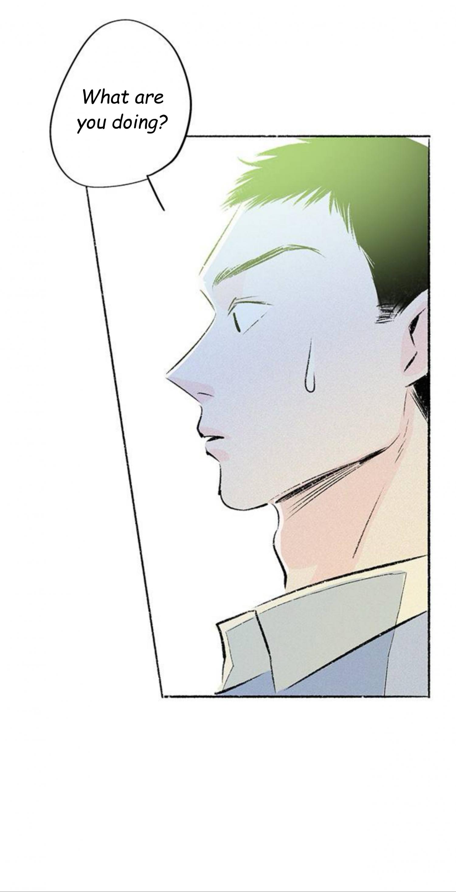 Why Don