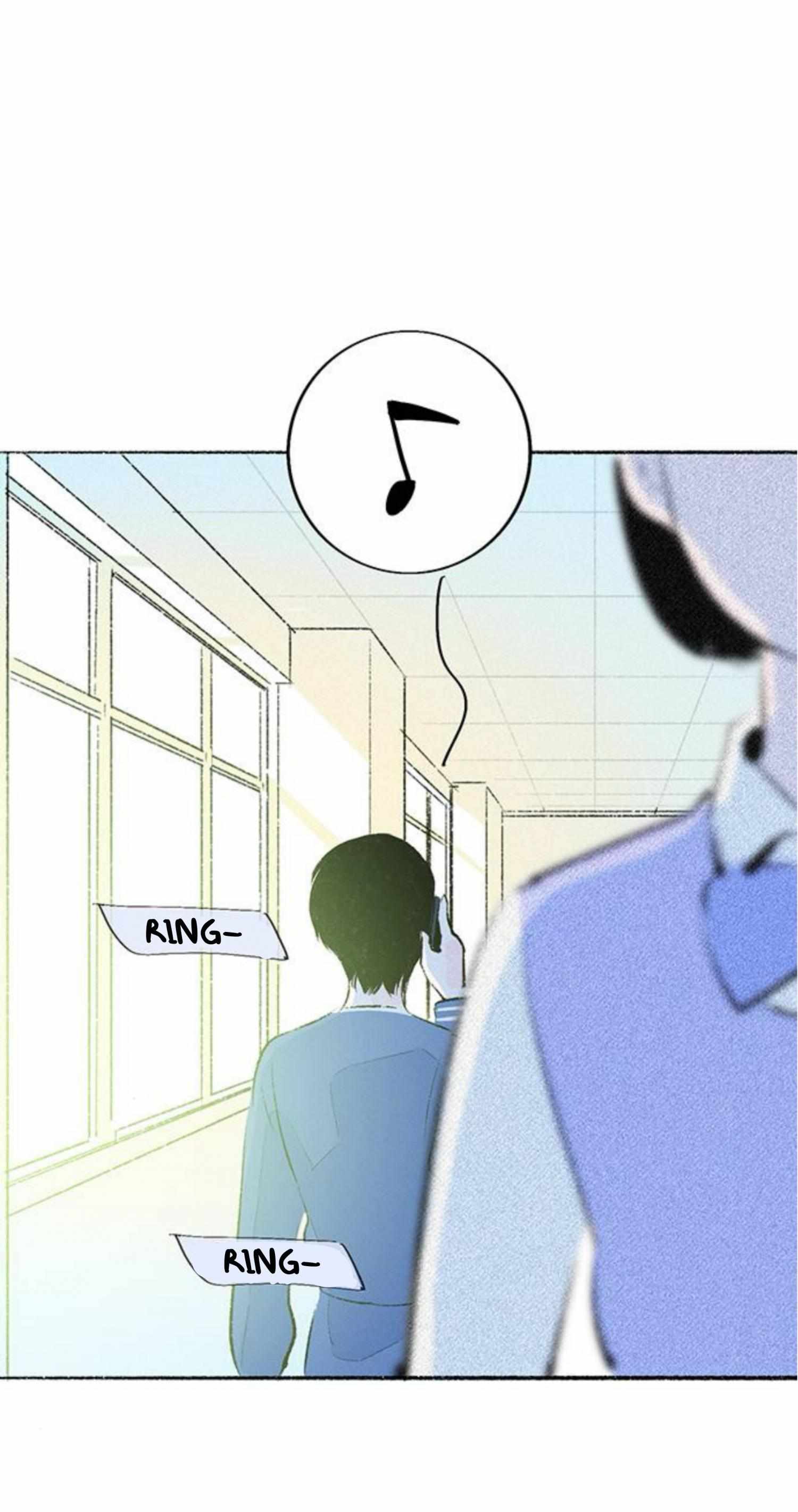 Why Don