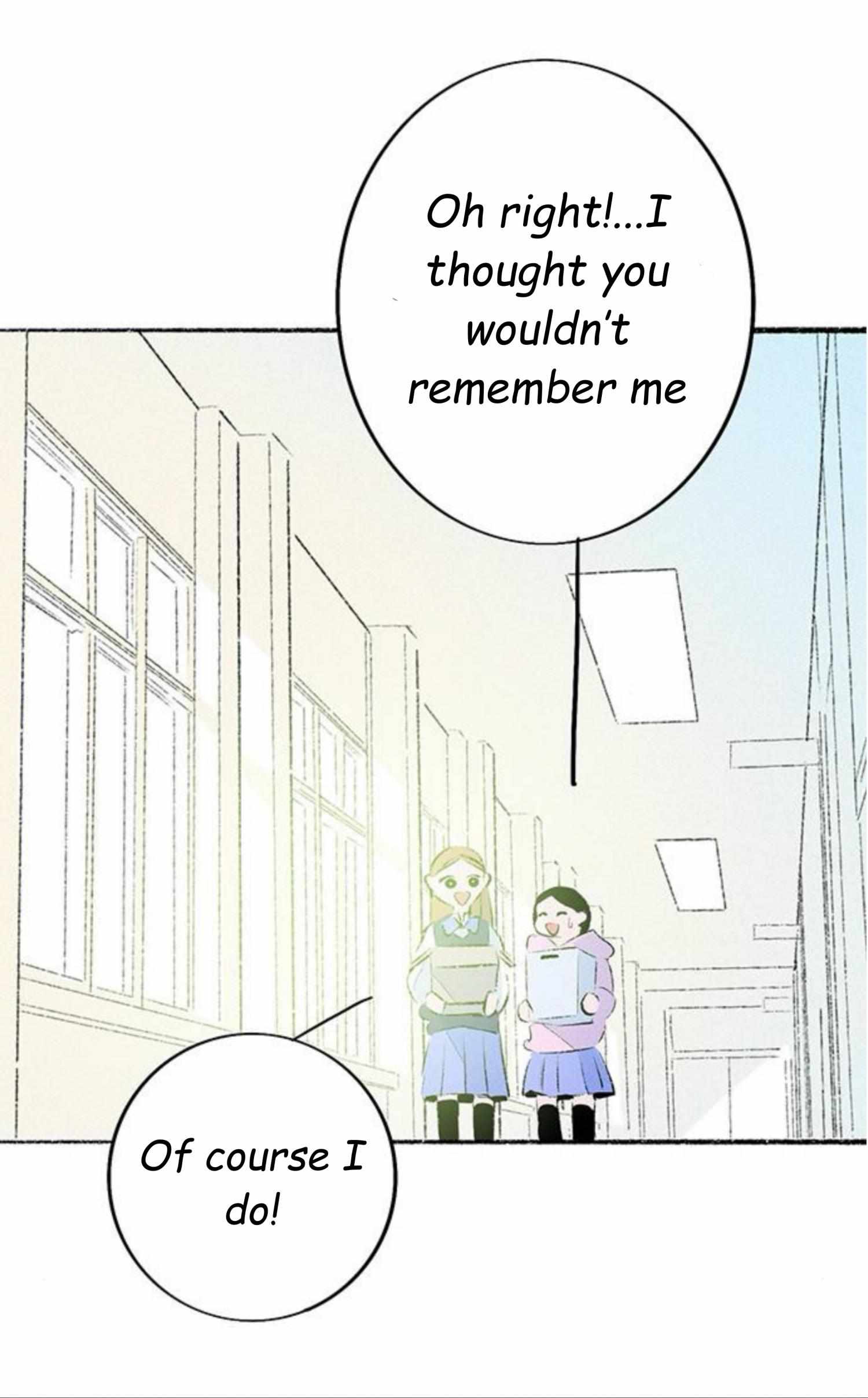 Why Don