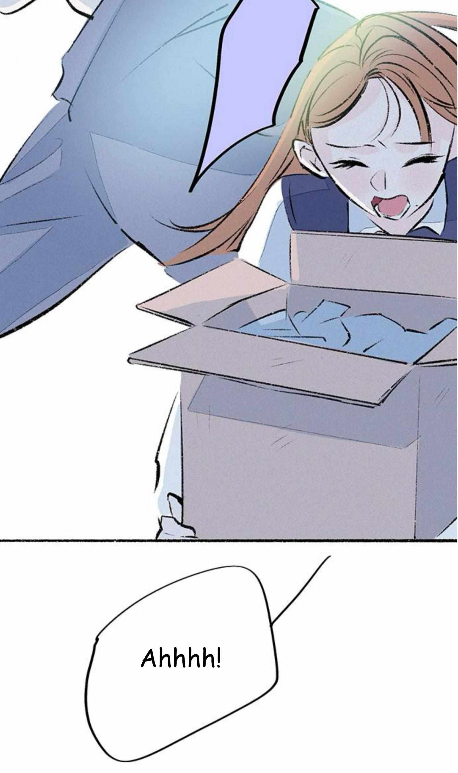 Why Don