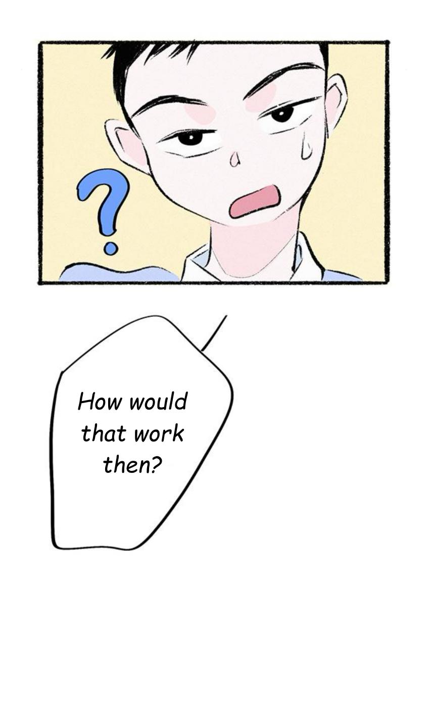 Why Don