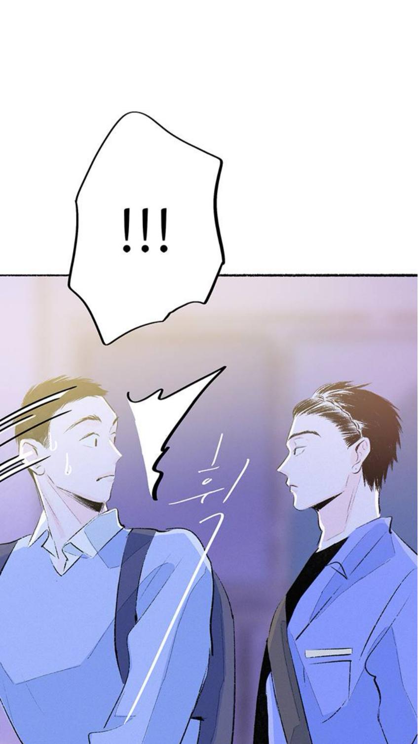 Why Don