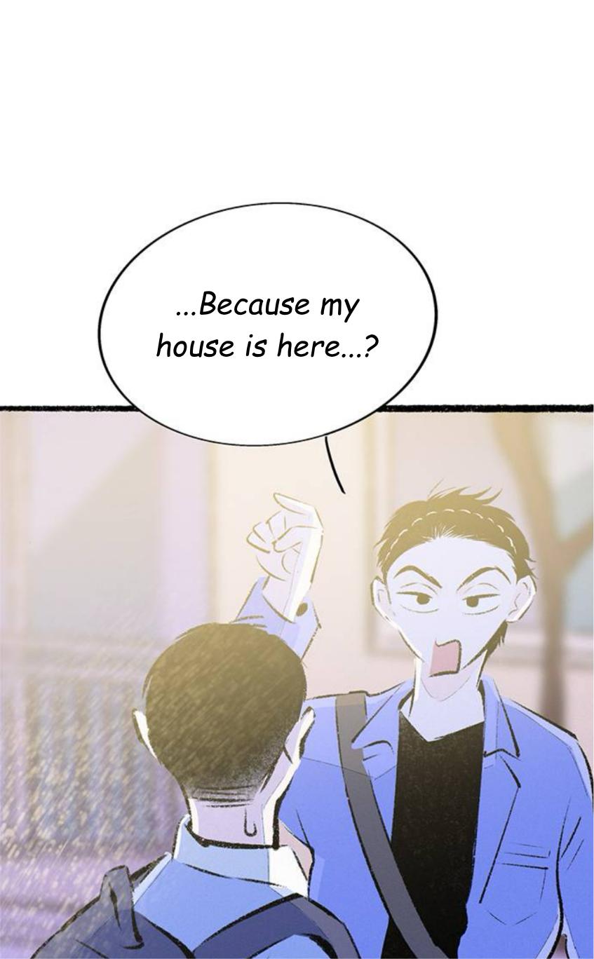 Why Don