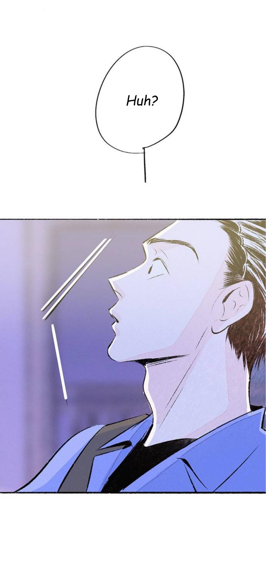 Why Don