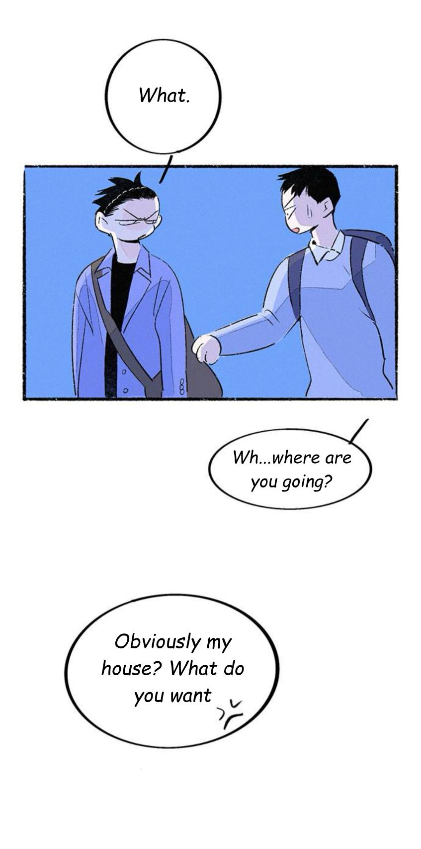Why Don
