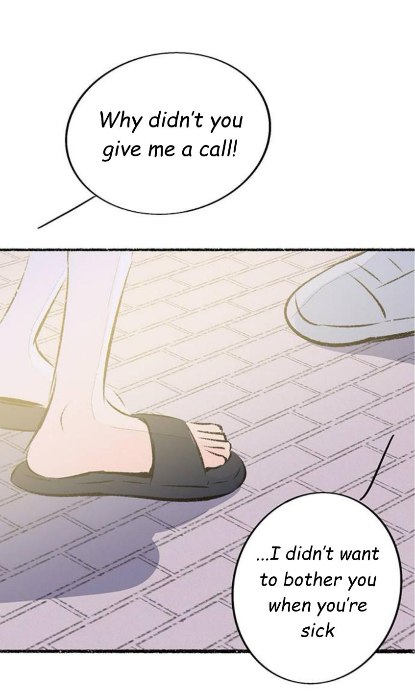 Why Don
