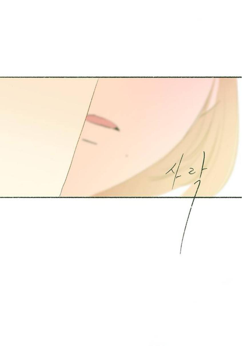 Why Don