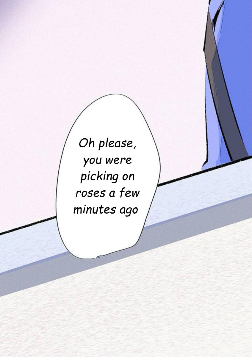 Why Don