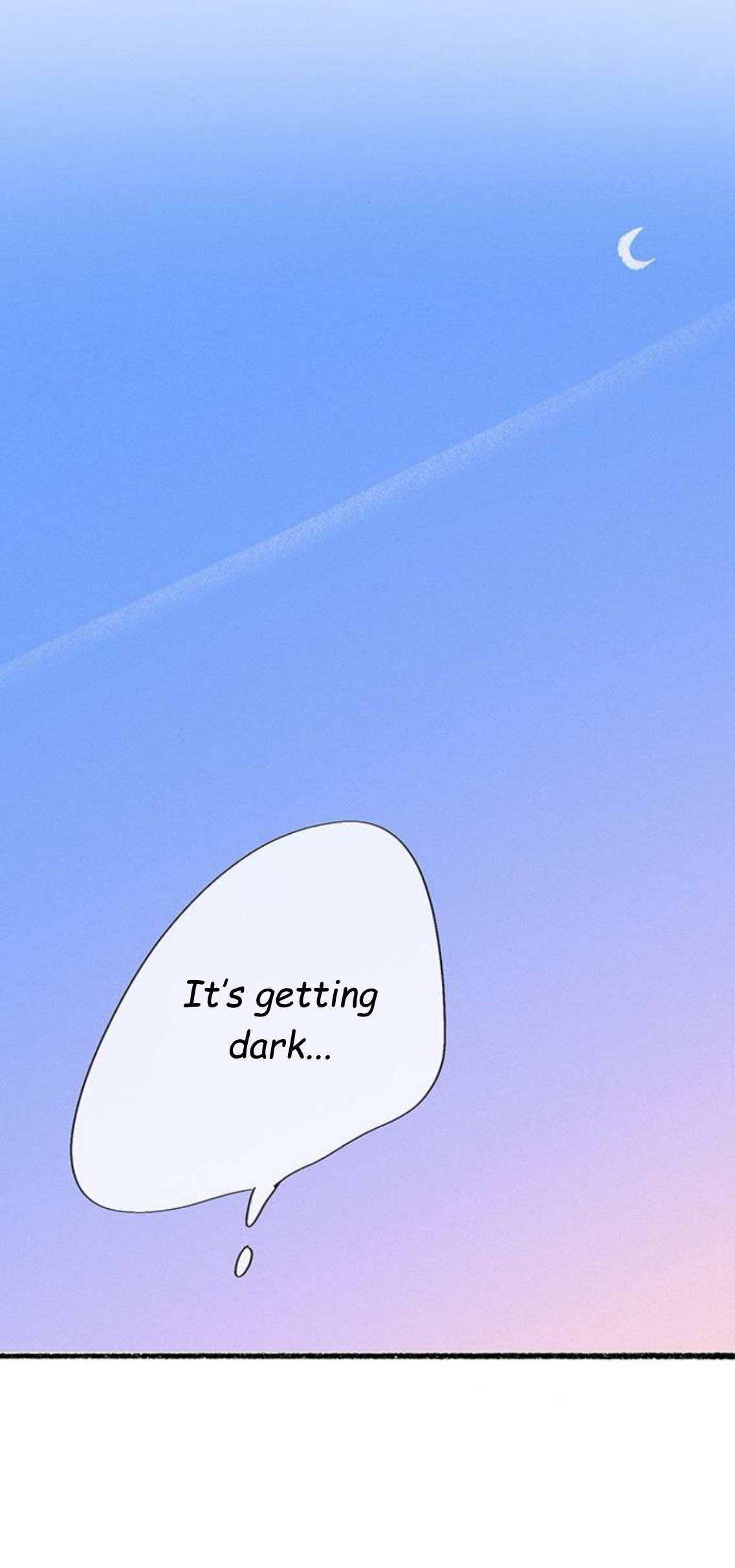 Why Don
