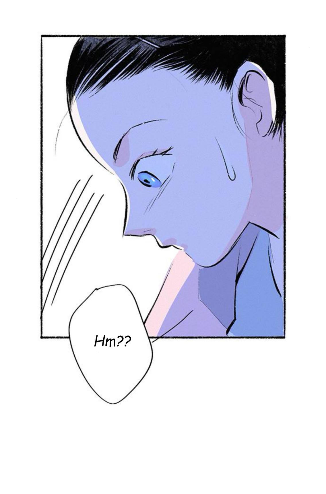Why Don