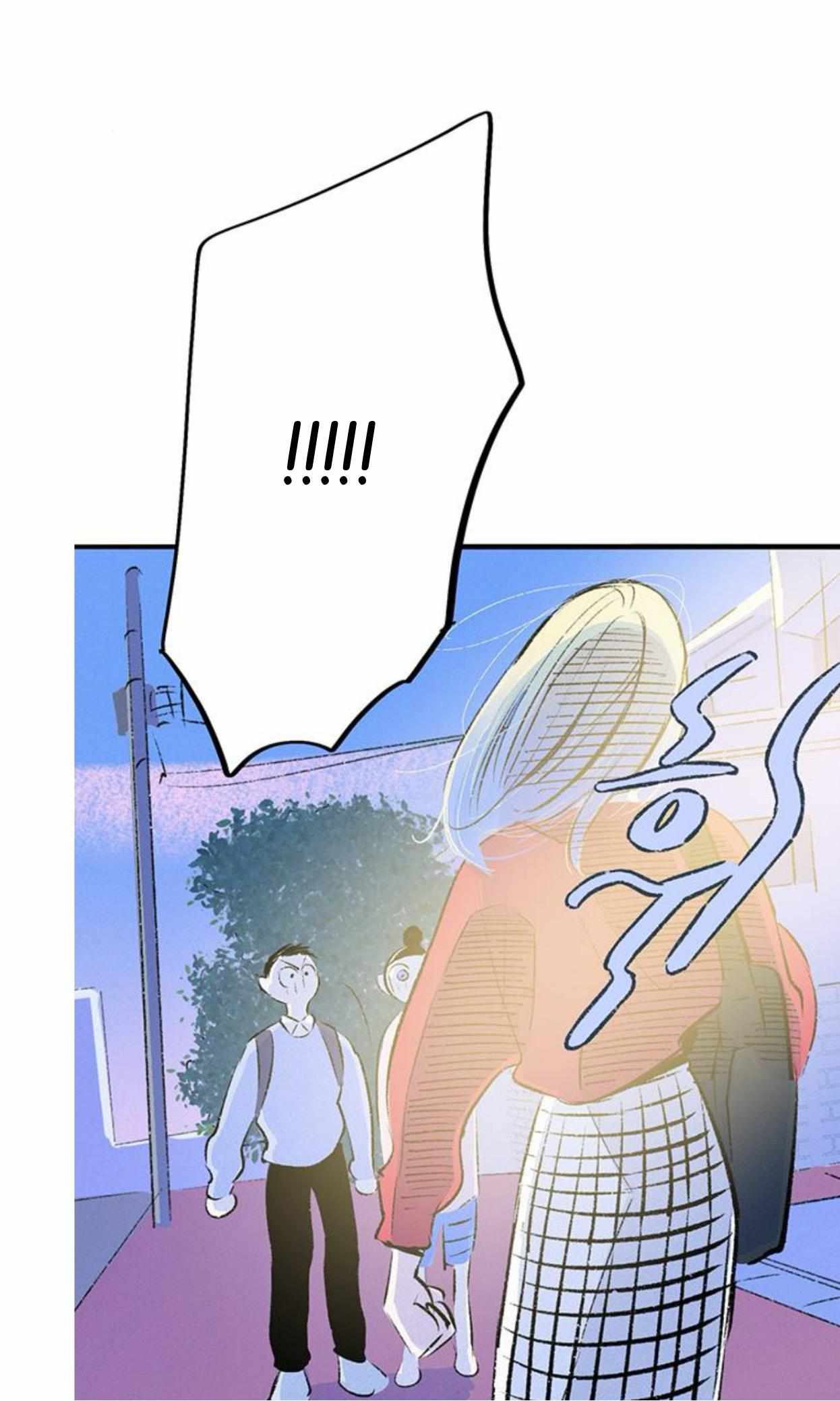Why Don