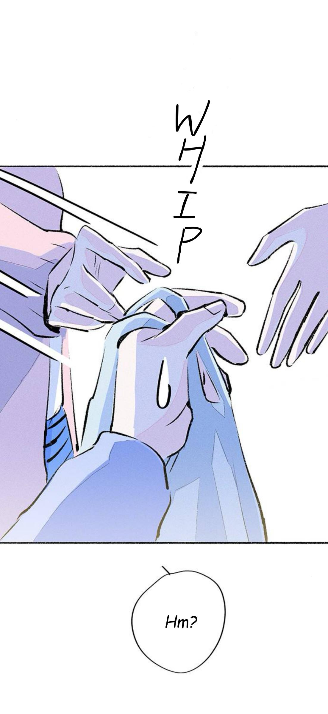 Why Don