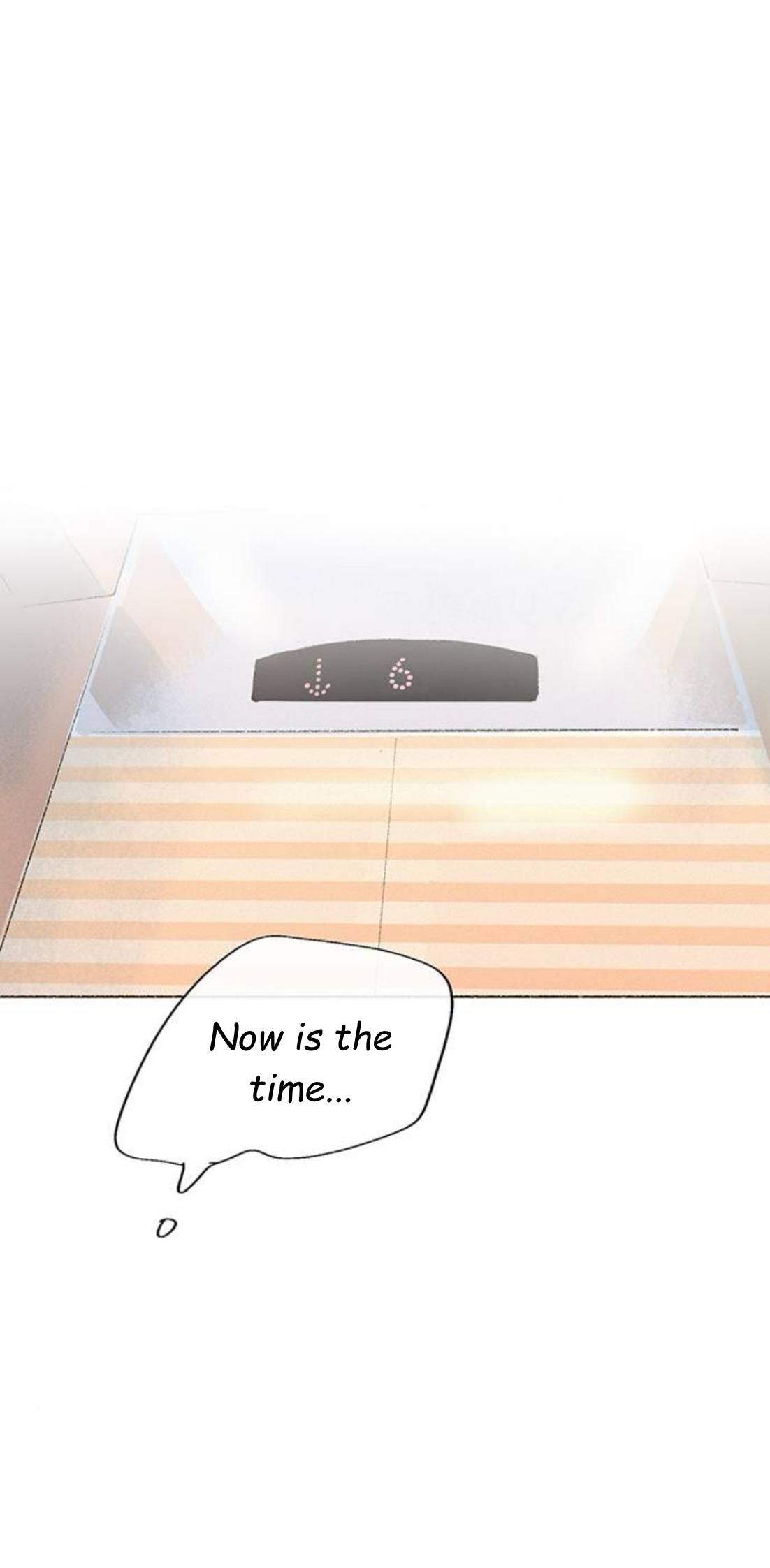 Why Don