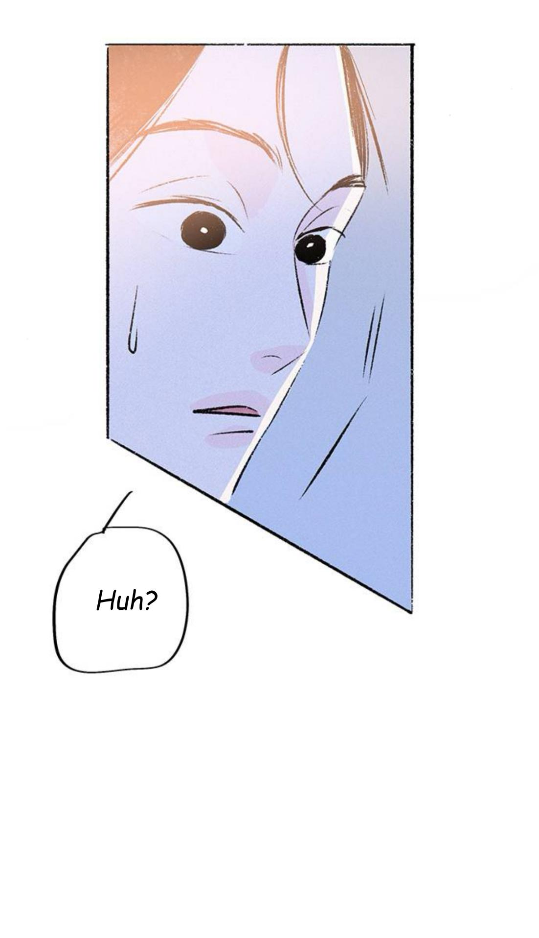 Why Don