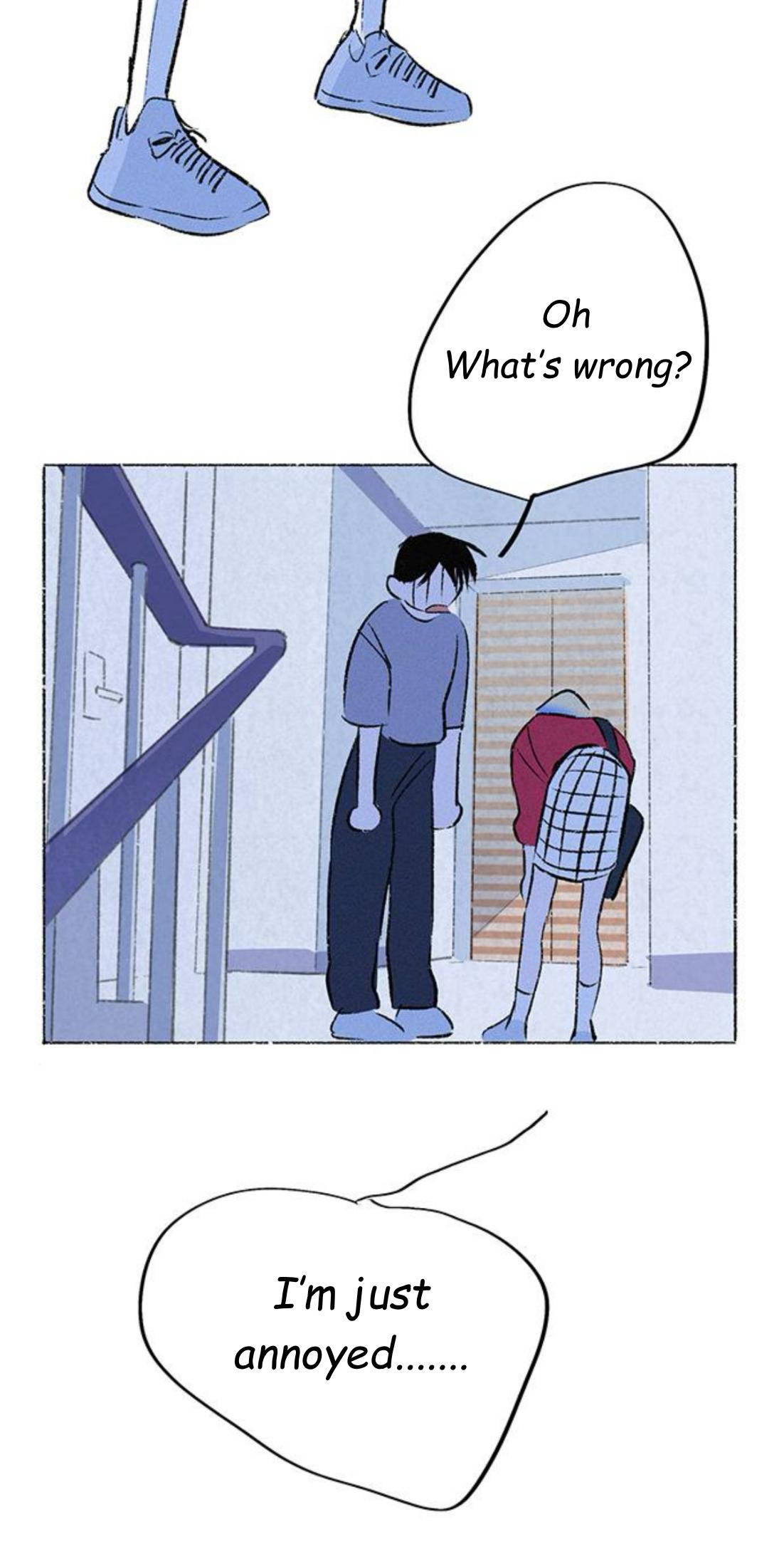 Why Don