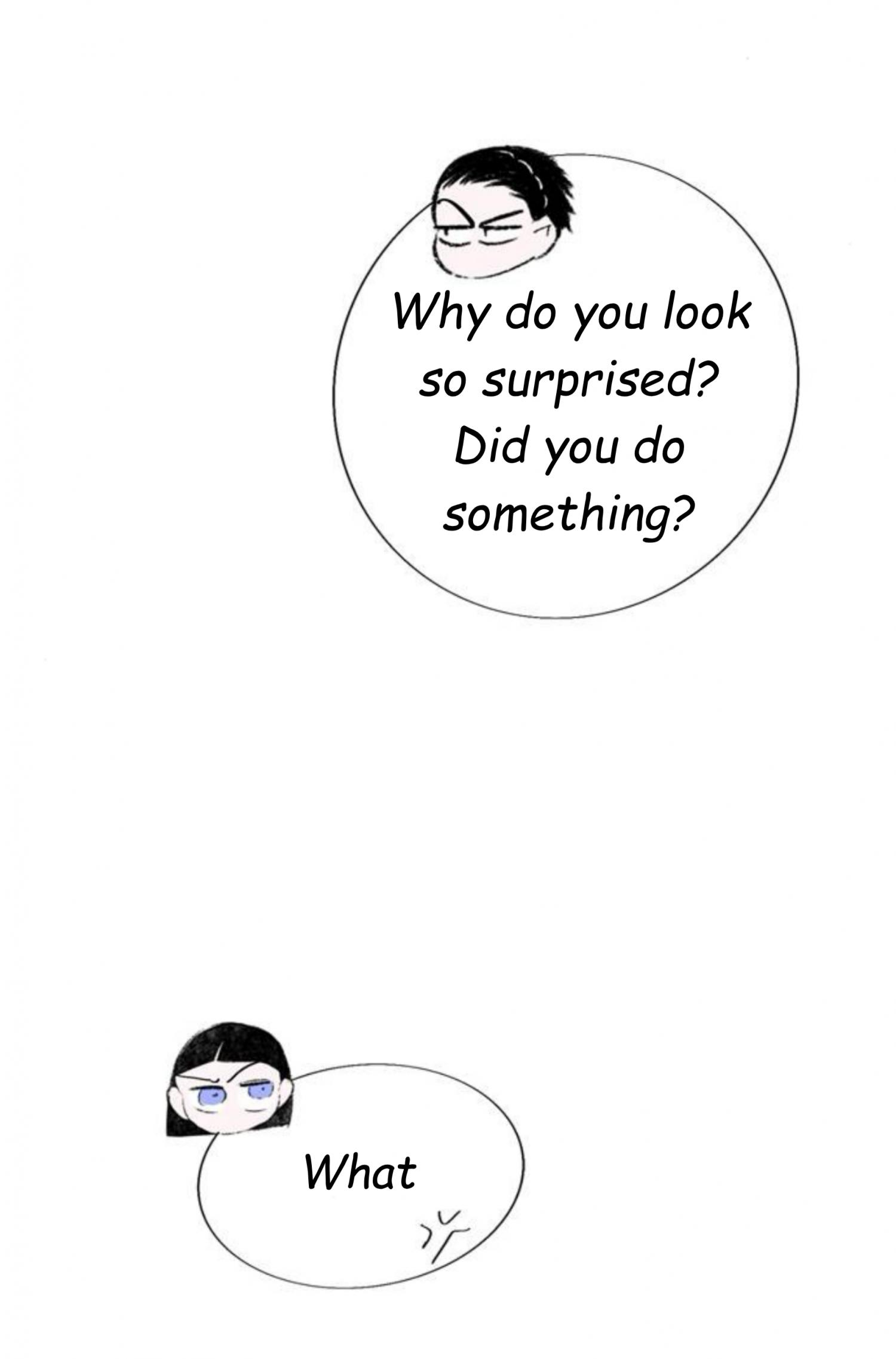 Why Don