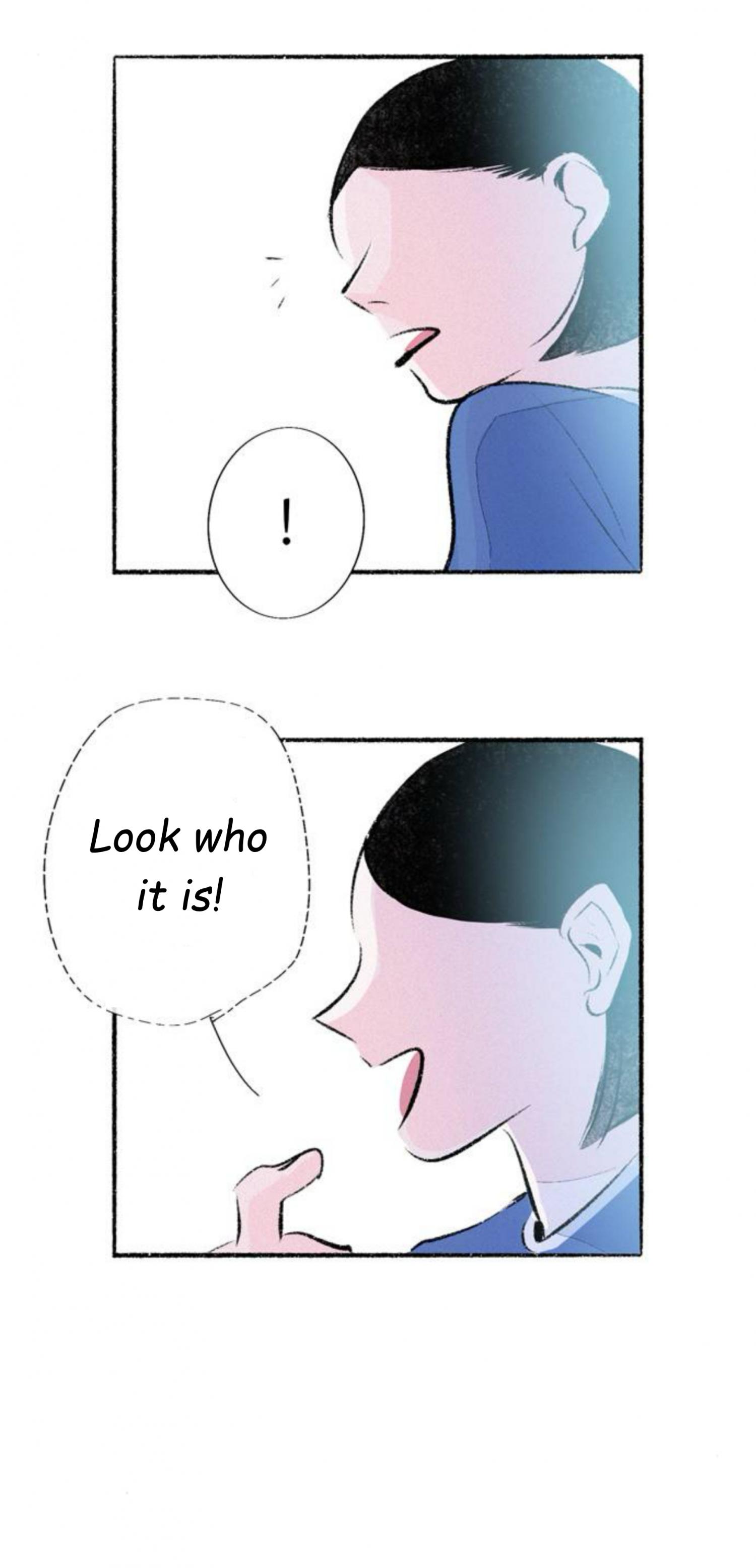Why Don