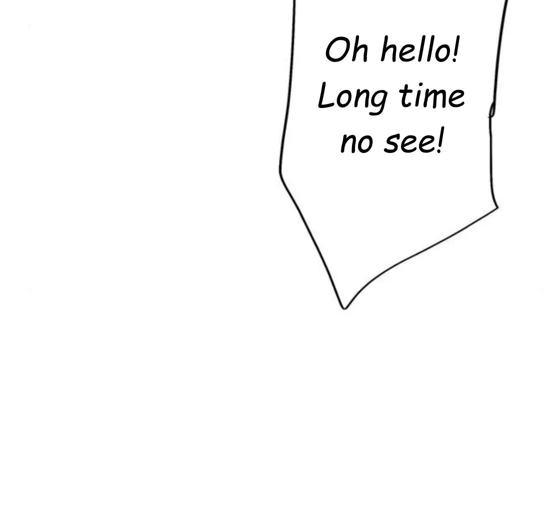 Why Don