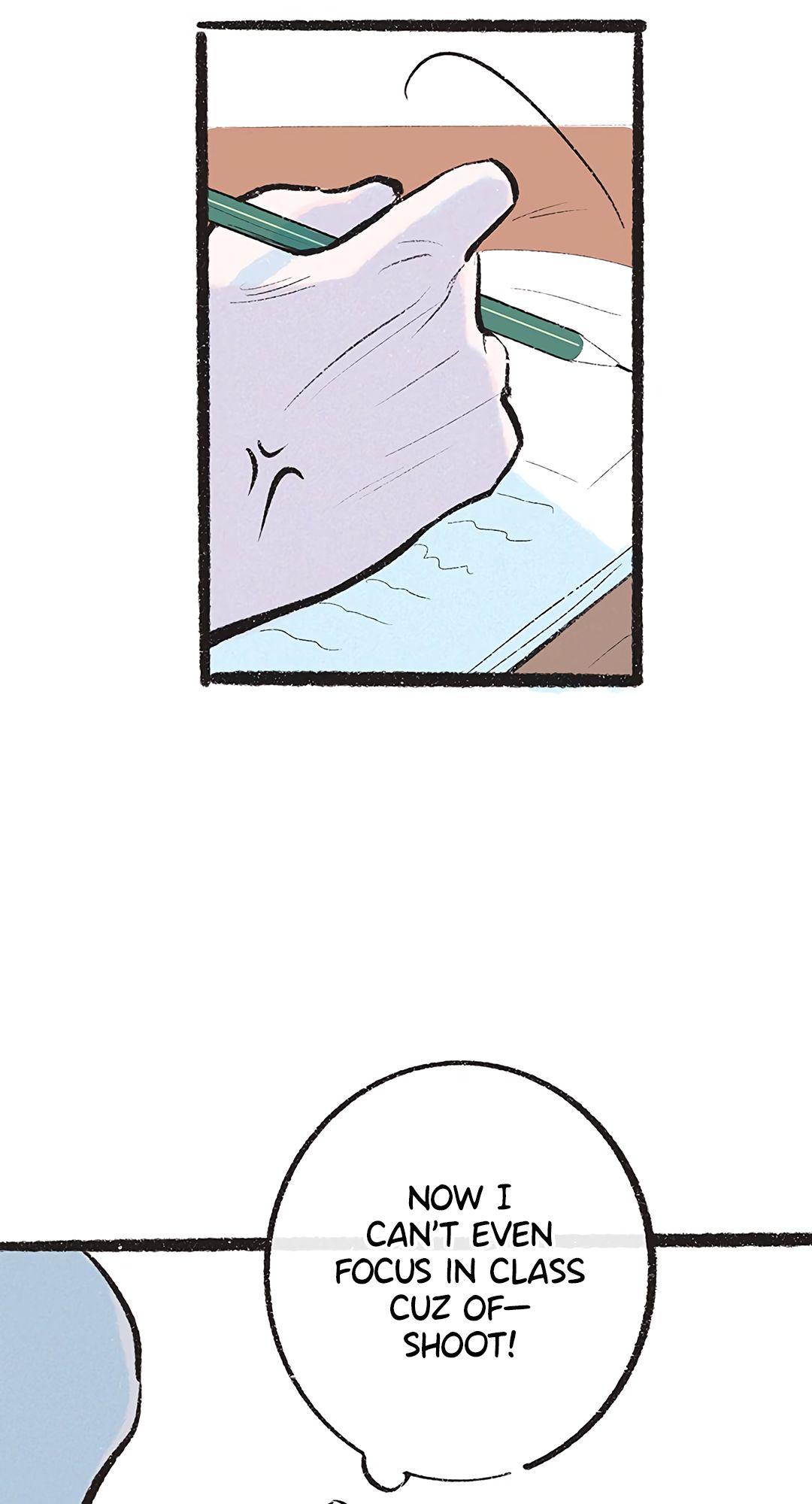 Why Don
