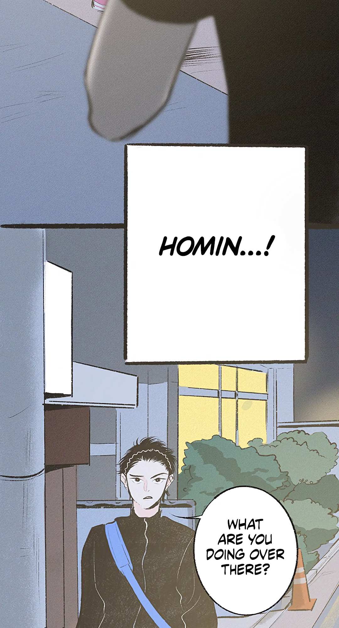 Why Don