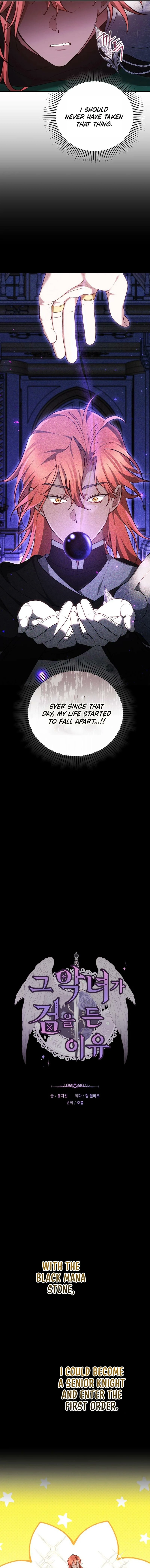 Why the Villainess Wields the Sword Chapter 41 page 5 - 