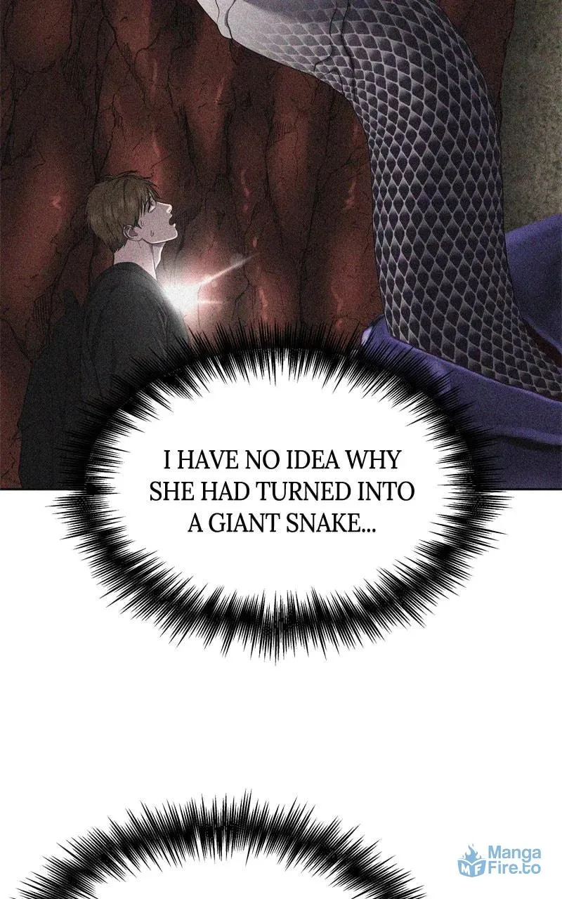 Why You Shouldn