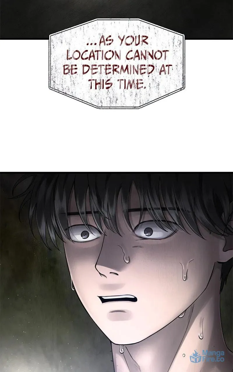 Why You Shouldn