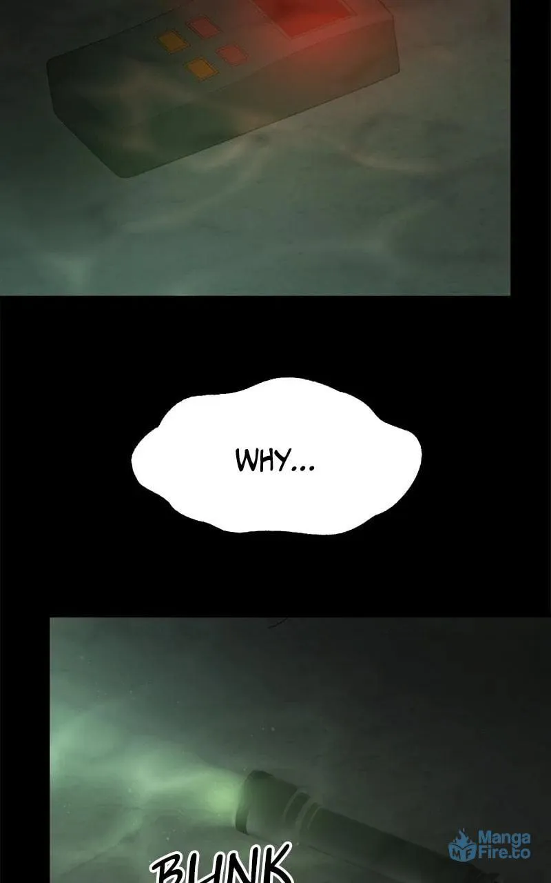 Why You Shouldn