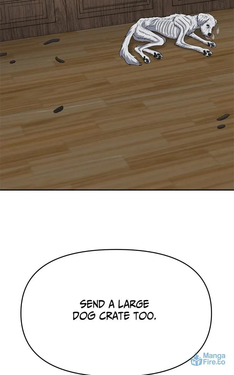Why You Shouldn
