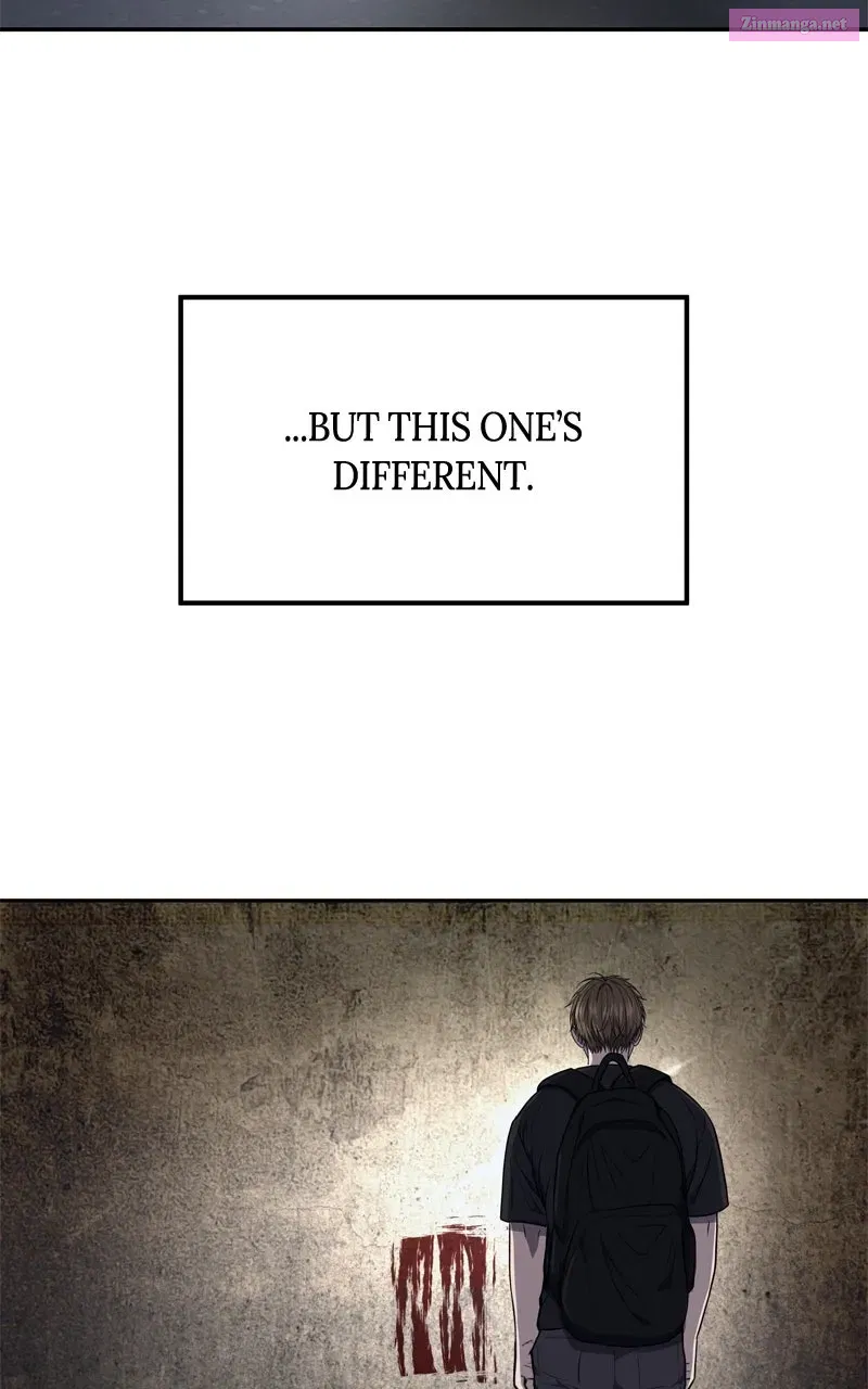Why You Shouldn