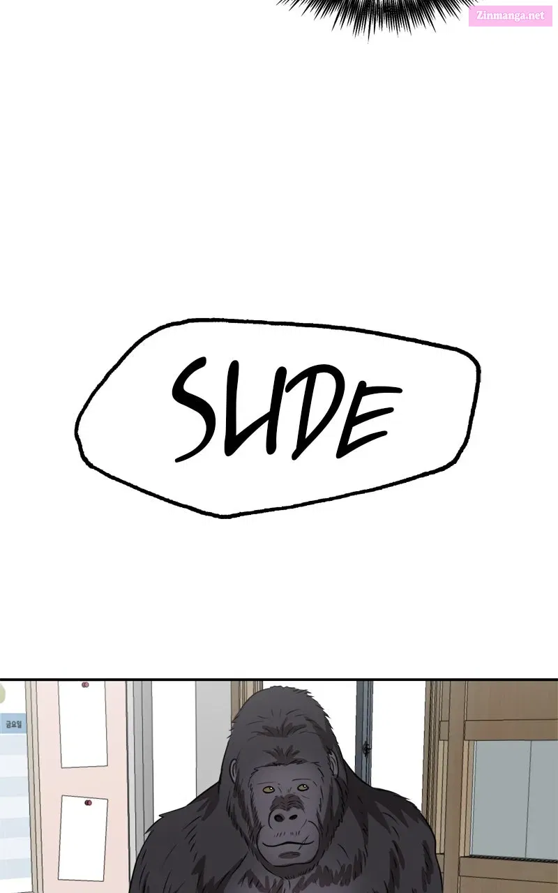 Why You Shouldn