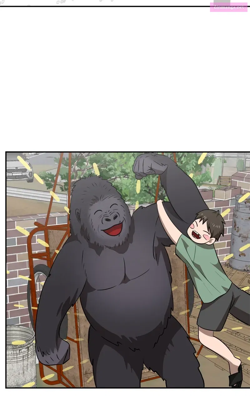 Why You Shouldn