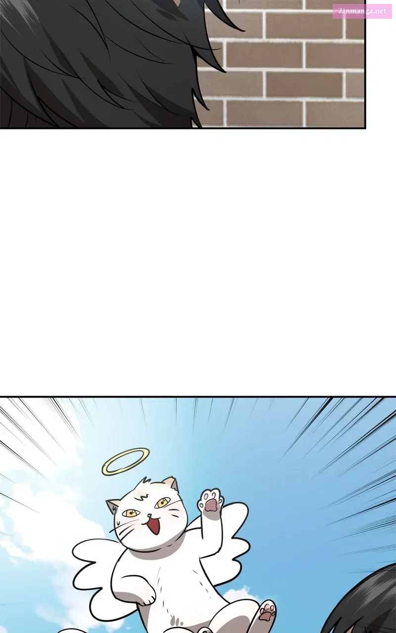 Why You Shouldn