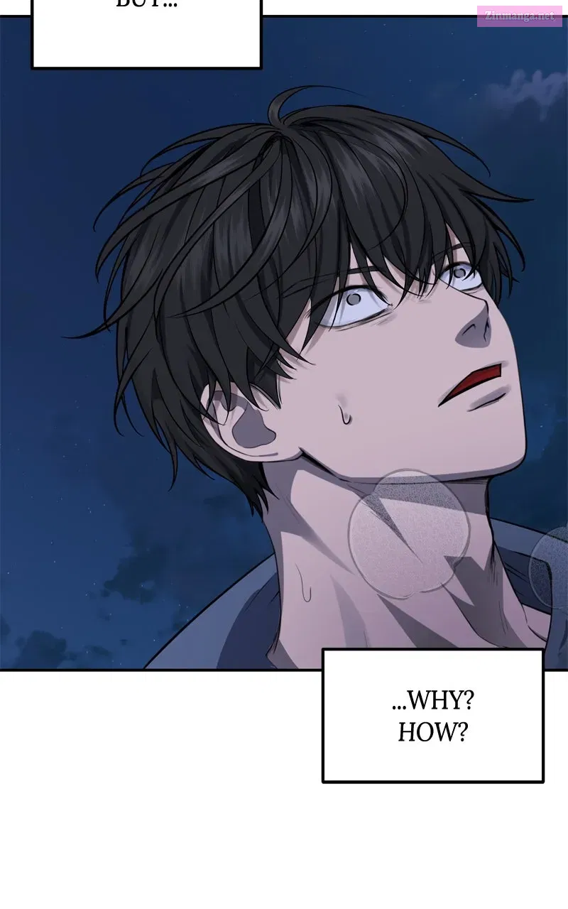 Why You Shouldn