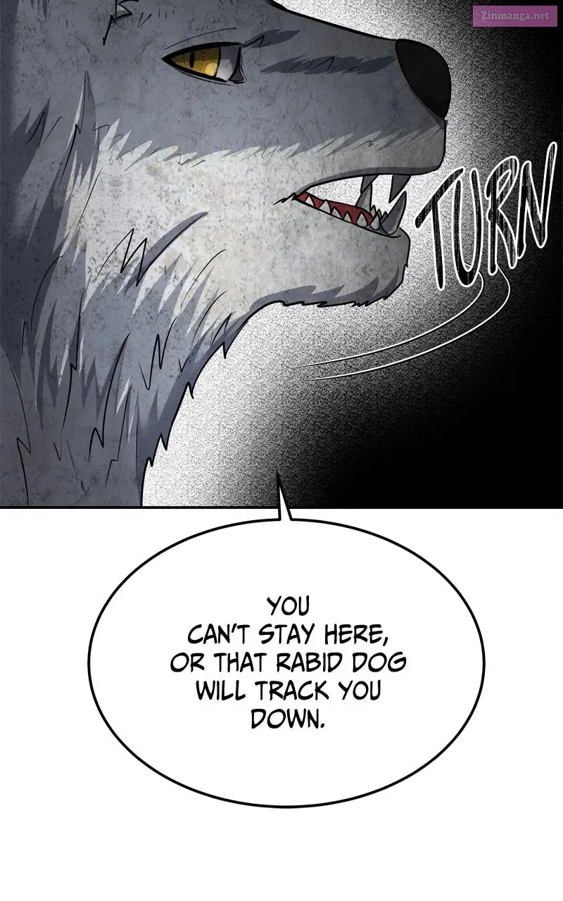 Why You Shouldn