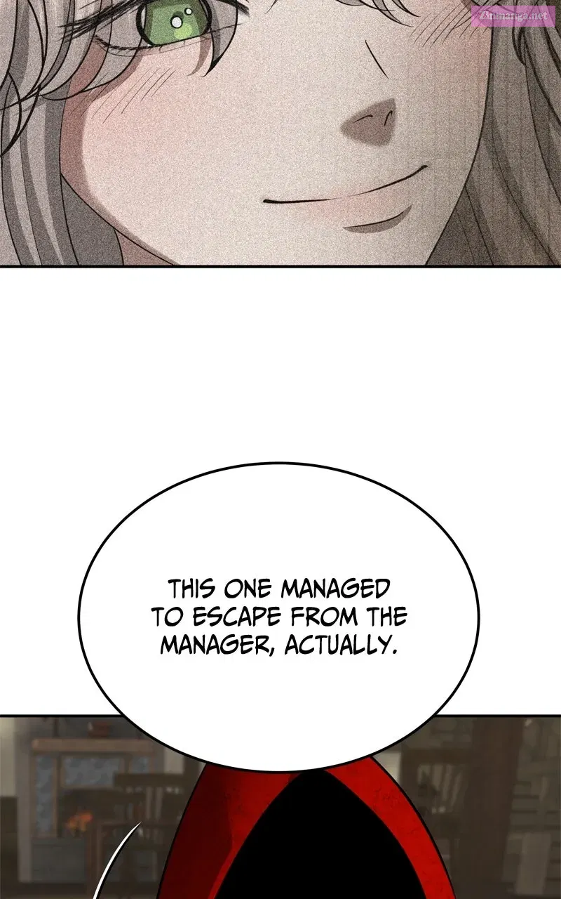 Why You Shouldn