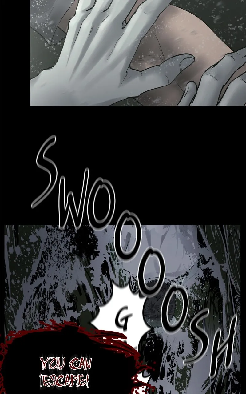 Why You Shouldn