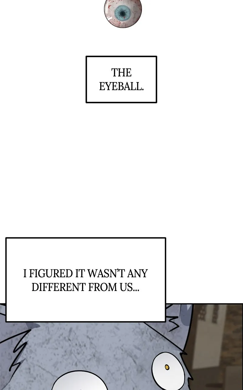 Why You Shouldn