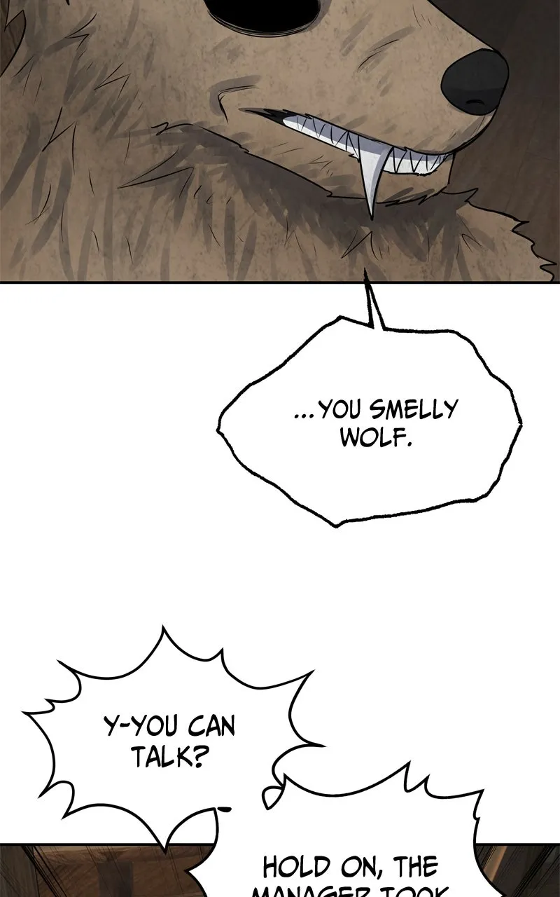 Why You Shouldn
