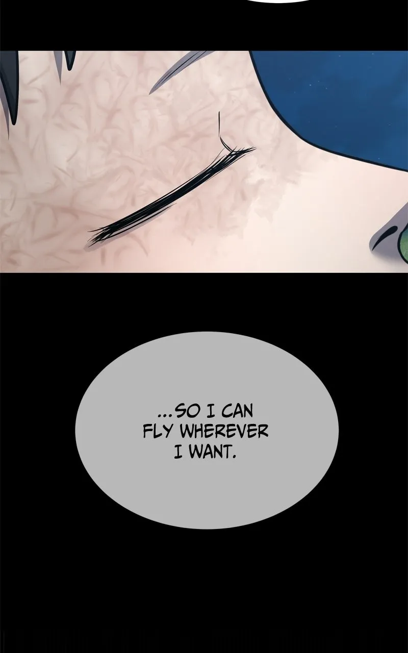 Why You Shouldn