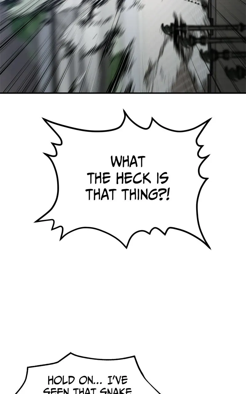 Why You Shouldn
