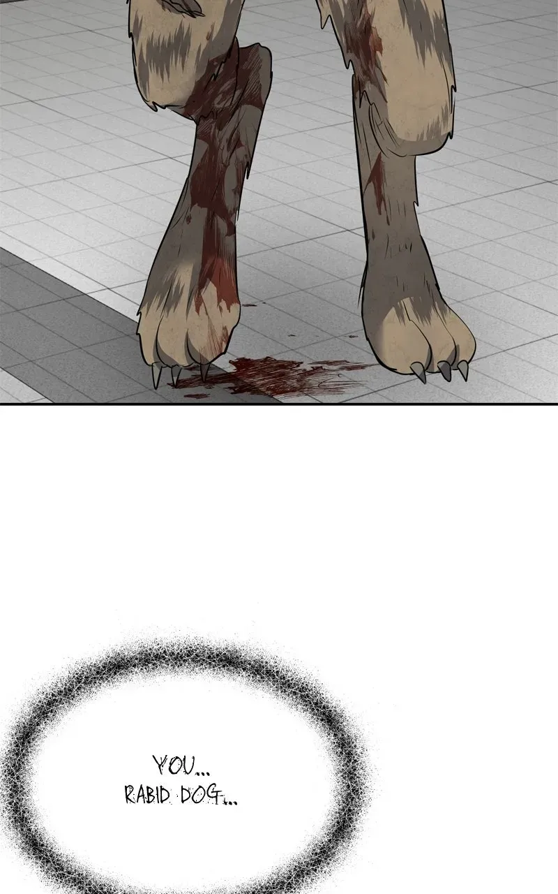 Why You Shouldn