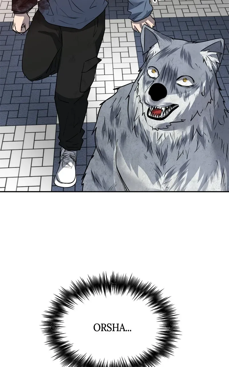 Why You Shouldn